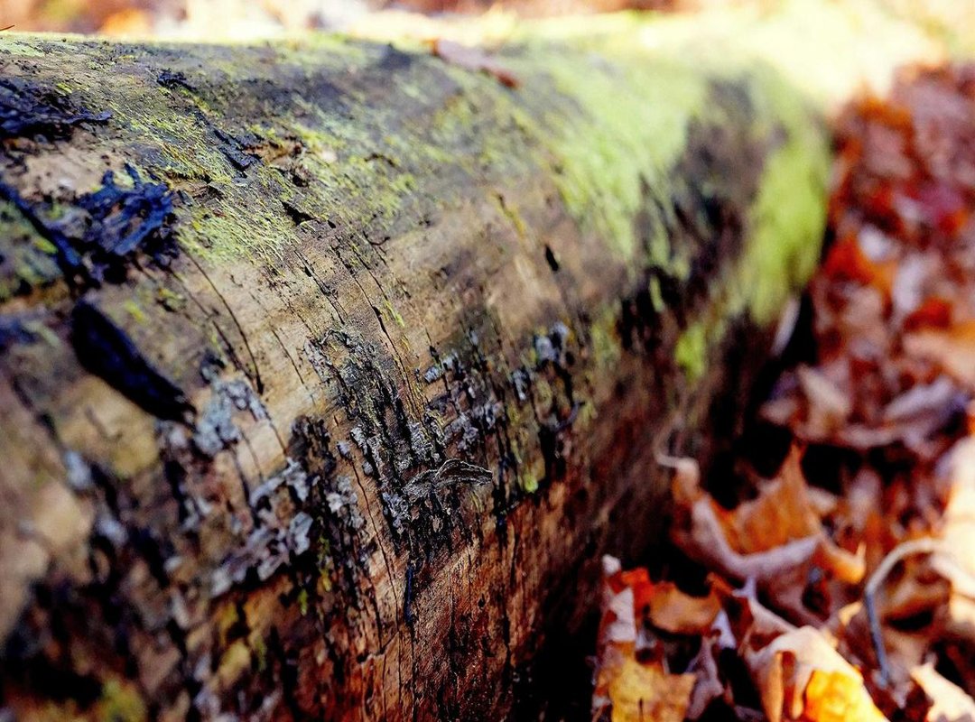 The Real-World Value: What Can You Actually Buy with 10 UF in Chile?