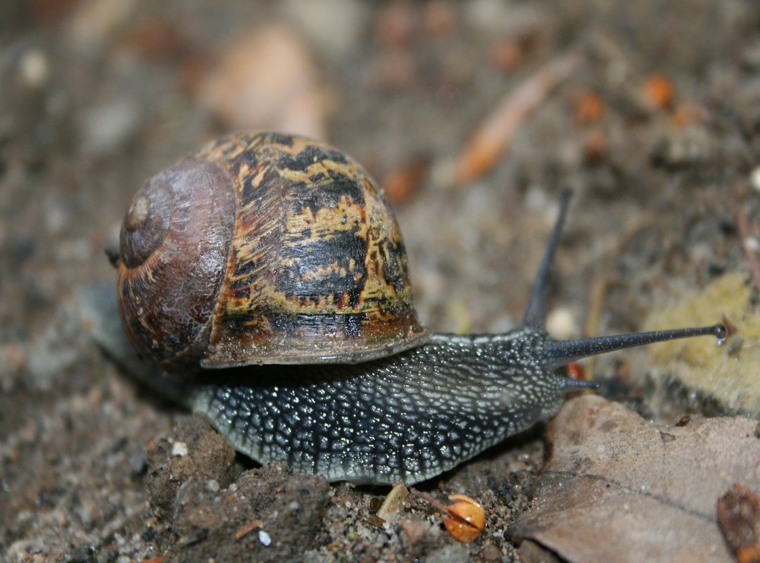 A Simple 3-Step Guide to Get Started