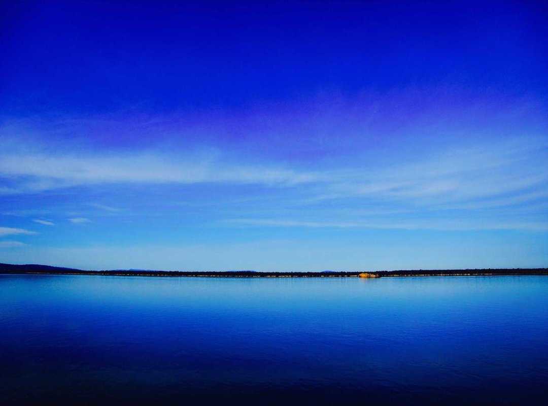 The Salon Visit: How to Ask for the Perfect Shaved Pixie Cut