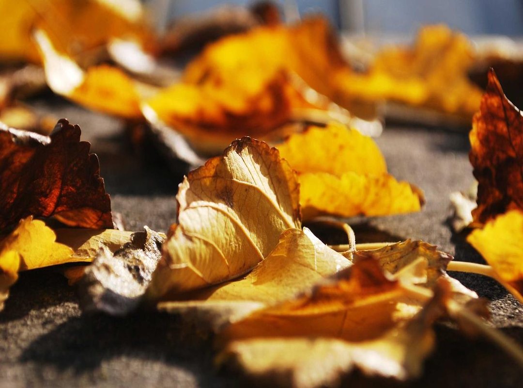 How to Create Your First Math-Themed Letter: A Step-by-Step Tutorial