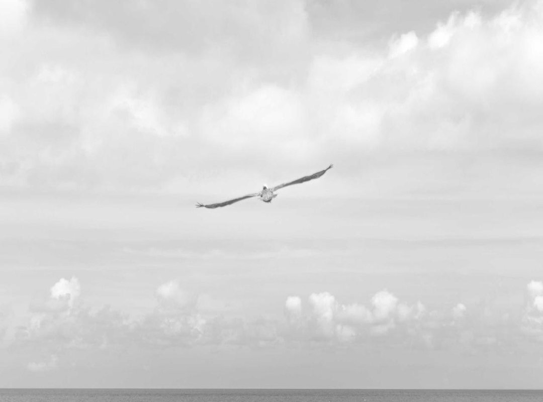 The Making Of: A Look at the Photo's Technical Genius