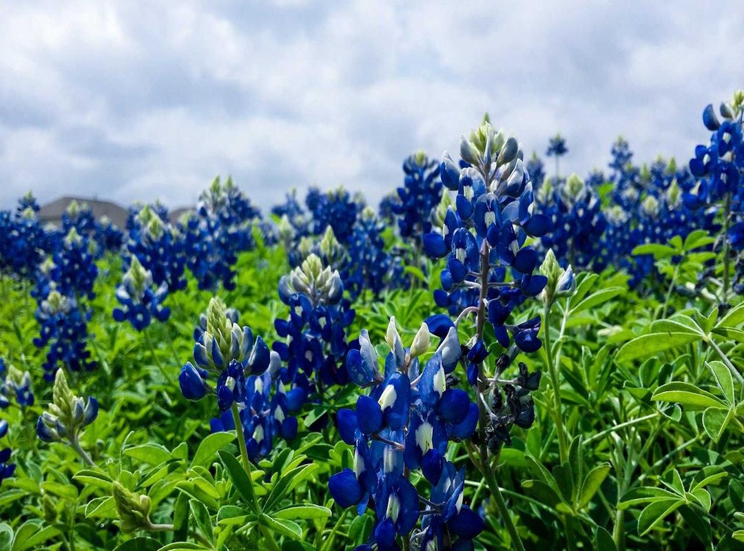 On-Site vs. Off-Site Programs: Which Model Fits Your Business?