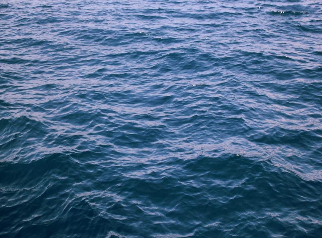 Why Using the Official Source Matters: Key Features and Benefits