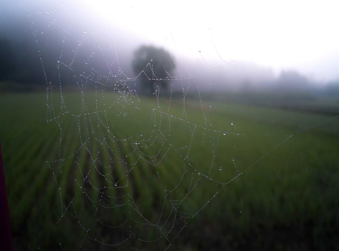 Unleash Your Inner Designer: Ideas for Custom Outfits