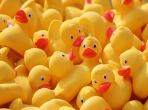 paper duck kleurplaat kleding