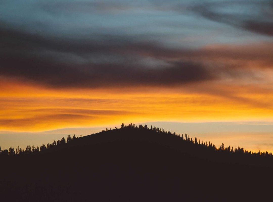 Understanding Membership: Free vs. Premium Access