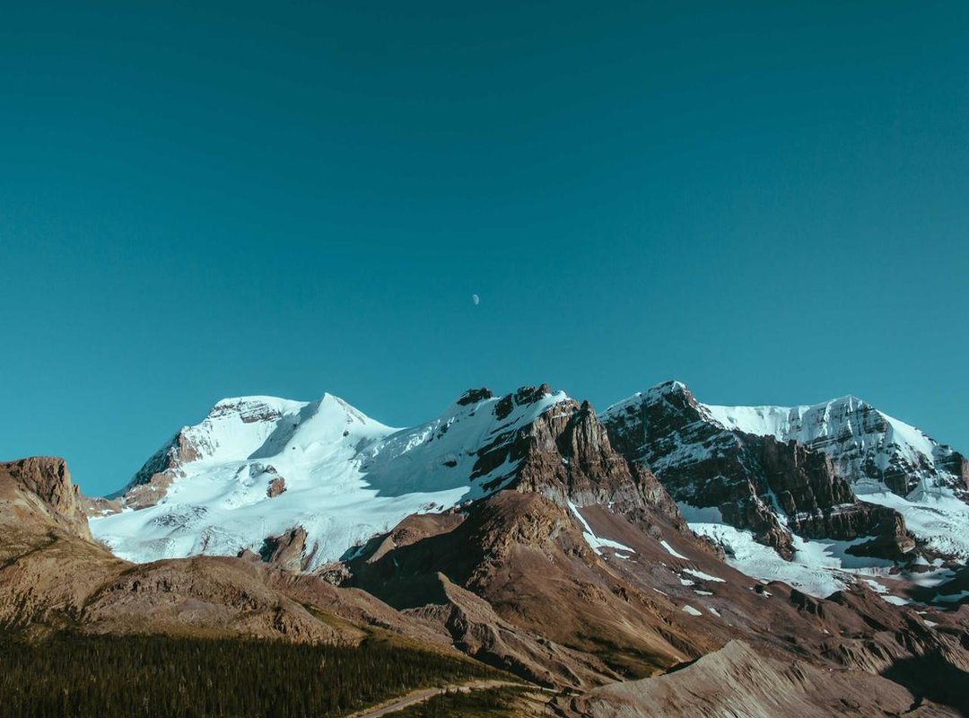 How to Create Your Own Aesthetic Empty Profile (Step-by-Step)