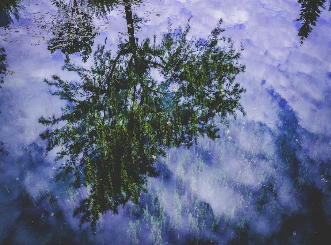 The Push and Pull: Analyzing Their Tumultuous Relationship