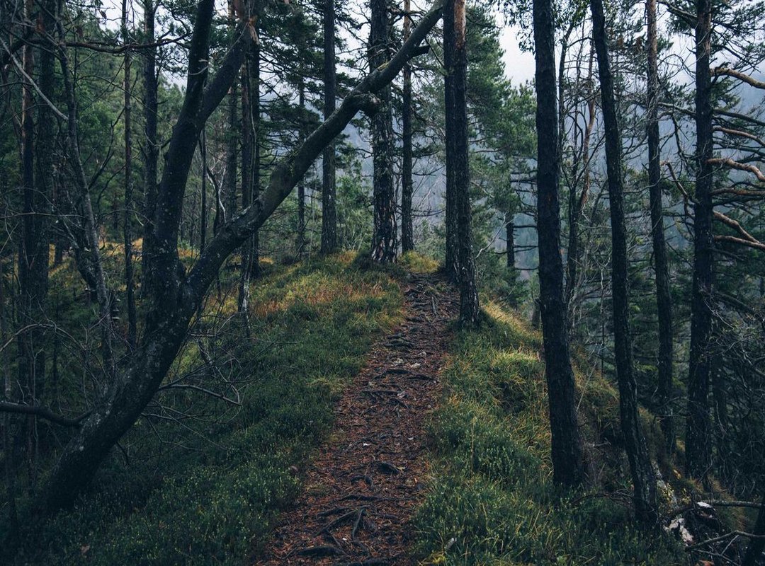 Step-by-Step: How to Get 'We Don't Talk Anymore' on Your Device