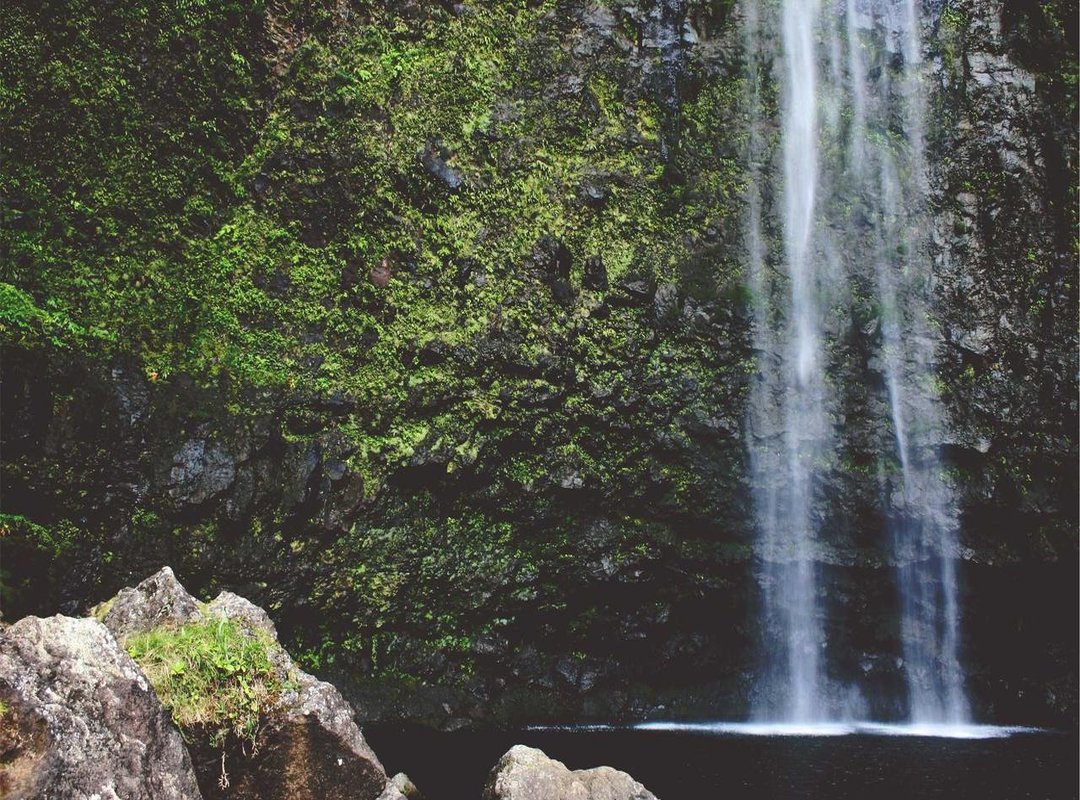 Beyond the Line: Customizing Your X-Axis for Clarity